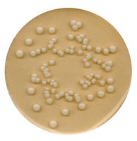 Potato dextrose agar for microbiology