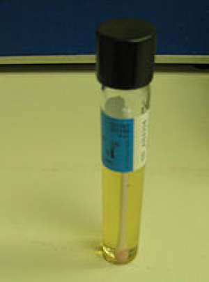 Thioglycollate broth for microbiology