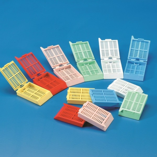 Khuôn đúc mẫu (500PCS), xanh có nắp Kartell