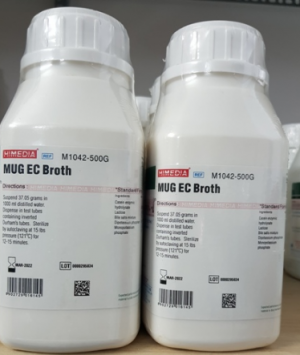 MUG EC Broth M1042 Himedia Ấn Độ