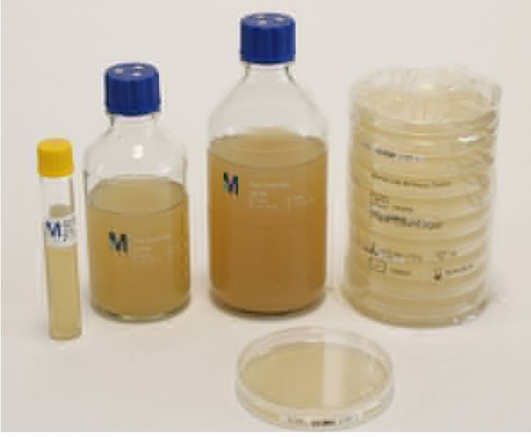 Plate Count Agar 200ml Merck Đức 