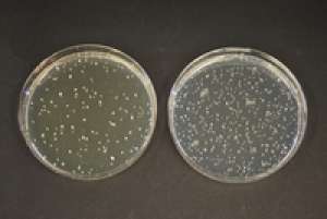 TOS-Propionate Agar (Base) Merck- Đức