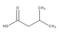 Isopentanoic acid for synthesis sigma aldrich