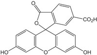 6-Carboxyfluorescein 100mg Merck Đức