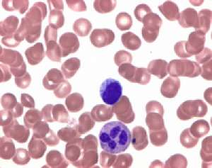 Leishman's eosine methylene blue for microbiology Merck