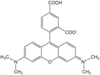 5-Carboxy-tetramethylrhodamine Novabiochem® 10mg Merck