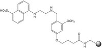 EDANS NovaTag™_resin 500mg Merck