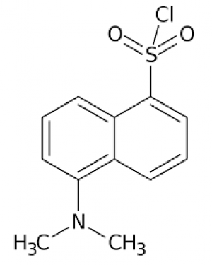 5-Dimethylaminonaphthalene-1-sulfonyl chloride for biochemistry 10g Merck