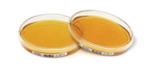 Tryptic Soy Agar - ICR 30ml 20PC Merck