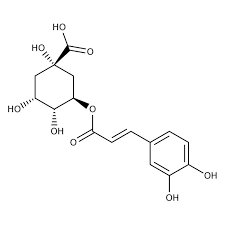 Chlorogenic acid, 98%, predominantly trans, from coffee seeds 5g Acros