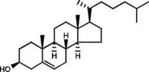 Cholesterol, 95%, stabilized 500g Acros