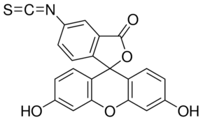 Fluorescein isothiocyanate isomer I, 90% pure 5g Acros