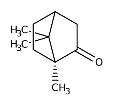 L(-)-Camphor, 98%, 10g,Acros