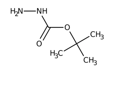 tert-Butyl carbazate, 99%, 25g, Acros