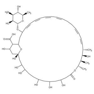 Nystatin 5g Bioreagents