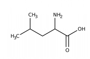 L-Leucine 99%, 2.5kg Acros