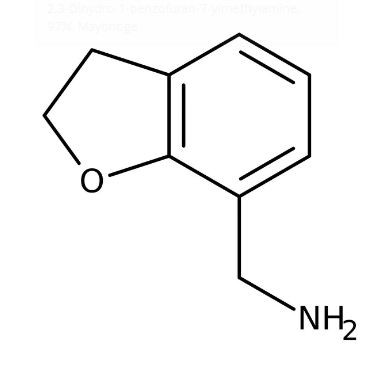 2,3-Dihydro-1-benzofuran-7-ylmethylamine, 97% 250mg Maybridge