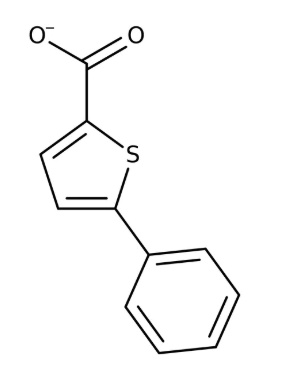 5-Phenylthiophene-2-carboxylic acid 95+%,5g Maybridge