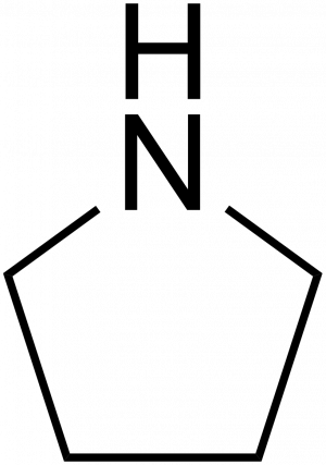 Pyrrolidine, 99 +%, 1l Acros