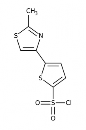 5-(2-Methyl-1,3-thiazol-4-yl)thiophene-2-sulfonyl chloride 97%, 5g Maybridge
