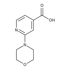 2-Morpholinoisonicotinic acid, 97% 1g Maybridge