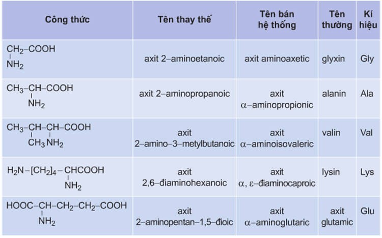 Bảng các amino axit cần nhớ
