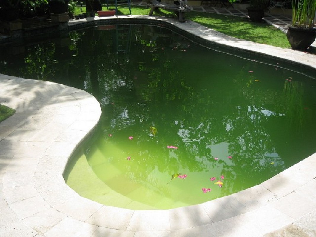 Sử dụng CuSO4 xử lý rêu tảo trong bể bơi
