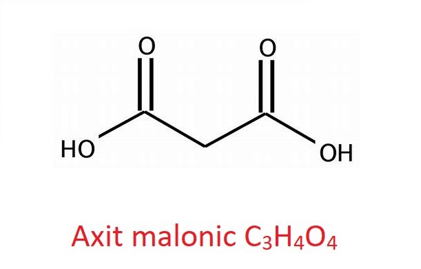 Axit malonic là gì?