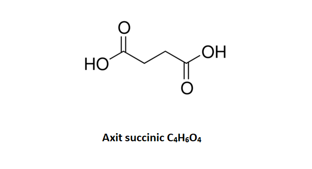 Cấu tạo phân tử của axit succinic