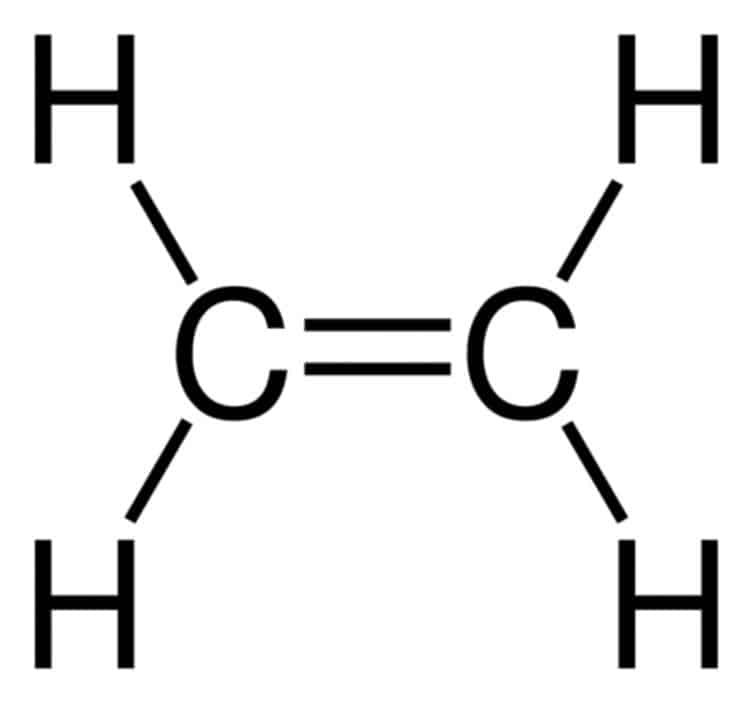 Trong phân tử etilen có một liên kết đôi giữa các nguyên tử cacbon