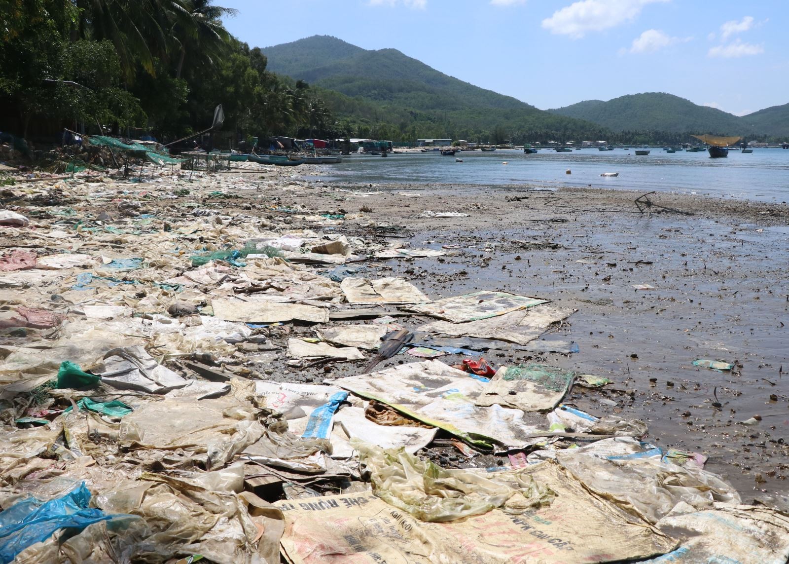 Ô nhiễm môi trường biển là gì? Nguyên nhân & biện pháp