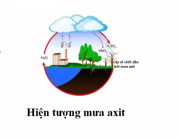 Mưa axit là gì? Tác hại và thực trạng mưa axit ở Việt Nam