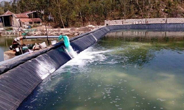 Chế phẩm sinh học được sử dụng để xử lý khí độc trong ao nuôi,…