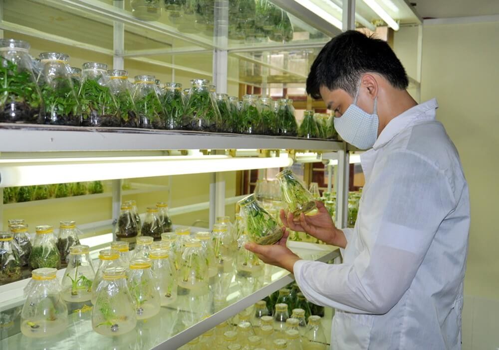  Hiện trạng nghiên cứu và ứng dụng chế phẩm sinh học EM tại Việt Nam