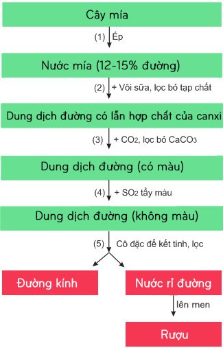 Quy trình sản xuất đường sucrose