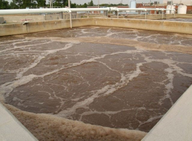 Sử dụng bùn hoạt tính trong xử lý nước thải