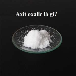 Axit oxalic là gì? Tính chất, điều chế và các ứng dụng nổi bật