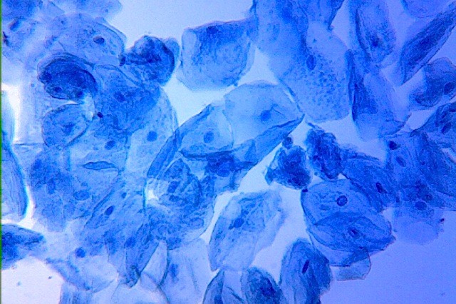 Methylene blue (C.I.52015) for microscopy Certistain®