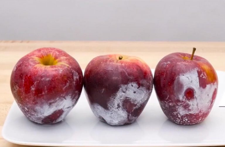 Cần phải loại bỏ lớp hóa chất độc hại trên vỏ táo trước khi ăn - Cách kiểm tra táo bị phun hóa chất độc hại