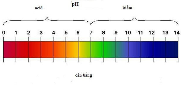  Hình ảnh thang đo độ pH