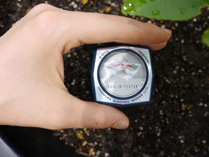 Máy đo độ ẩm đất - Ứng dụng của máy đo độ ẩm đất