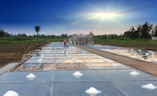 Hình ảnh vựa muối quy trình sản xuất muối sạch trên cát ở Nghệ An