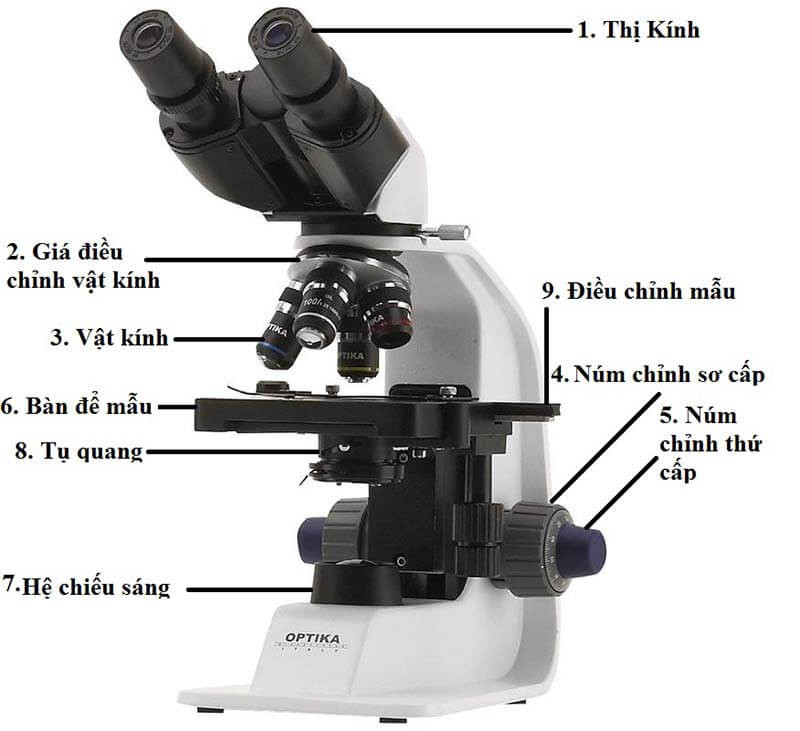 Cấu tạo của kính hiển vi được thể hiện qua hình vẽ
