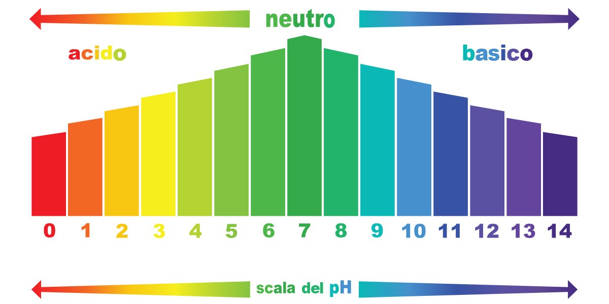 Thang đo độ pH với các màu tương ứng