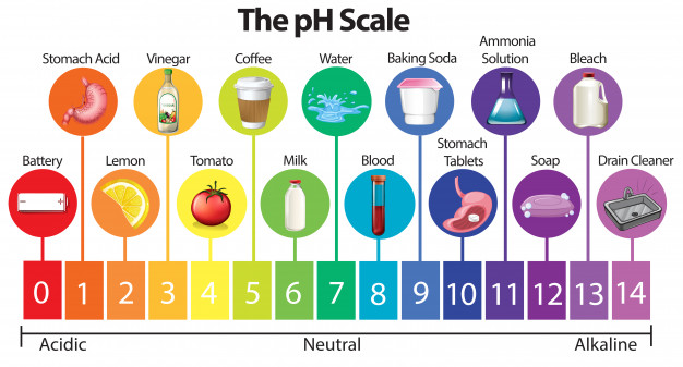 Thang đo độ pH của nước