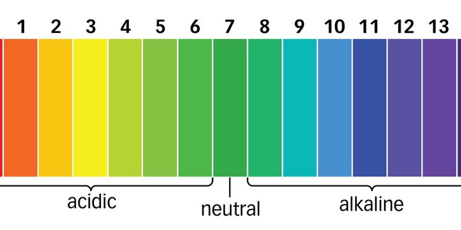 Màu sắc tương ứng với giá trị pH của giấy đo pH