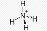 Amoni NH4 là gì? Sự khác biệt giữa amoni NH4+ và amoniac NH3