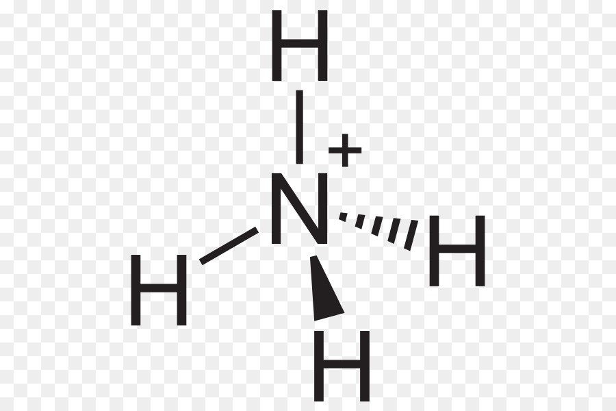 Làm thế nào để những ion amoni (NH4+) hòa tan trong nước?
