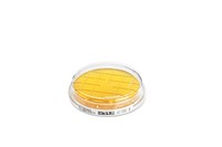 ReadyPlate CT DG 18 Agar ISO 21527 Application: Environmental monitoring enumeration of yeast and moulds Merck