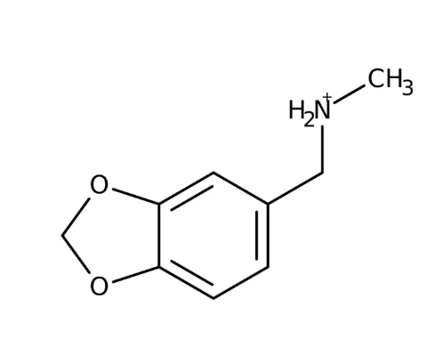 N-(1,3-Benzodioxol-5-ylmethyl)-N-methylamine, 97% 1g Maybridge
